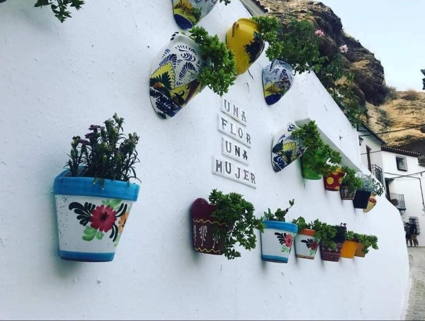 Apartament La Medina Baja Setenil De Las Bodegas Zewnętrze zdjęcie